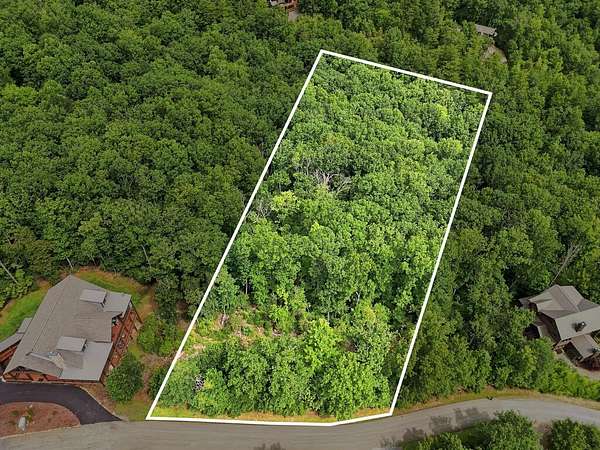 2 Acres of Residential Land for Sale in Blue Ridge, Georgia