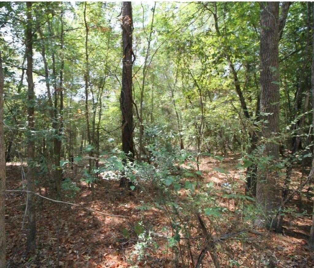 0.54 Acres of Residential Land for Sale in Redland, Texas