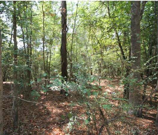 0.54 Acres of Residential Land for Sale in Redland, Texas
