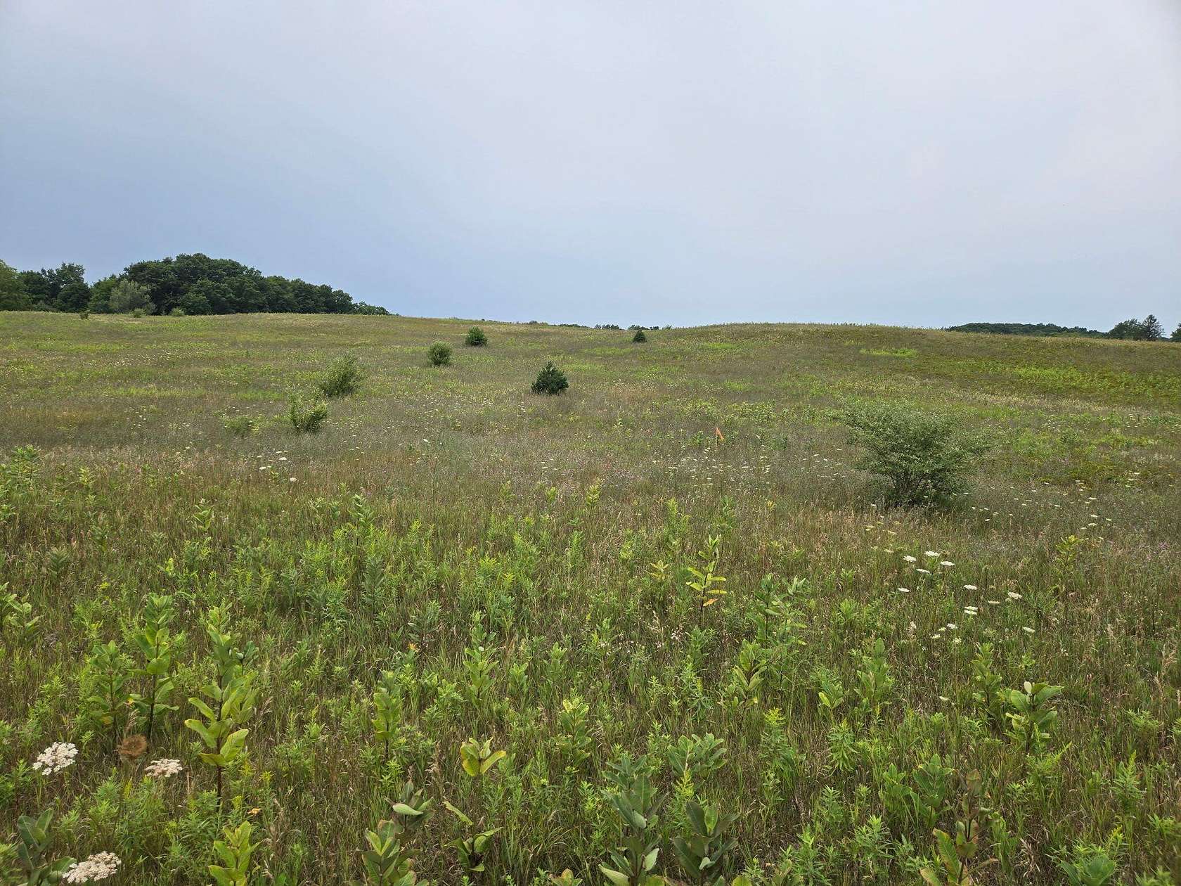 5 Acres of Residential Land for Sale in Hart, Michigan