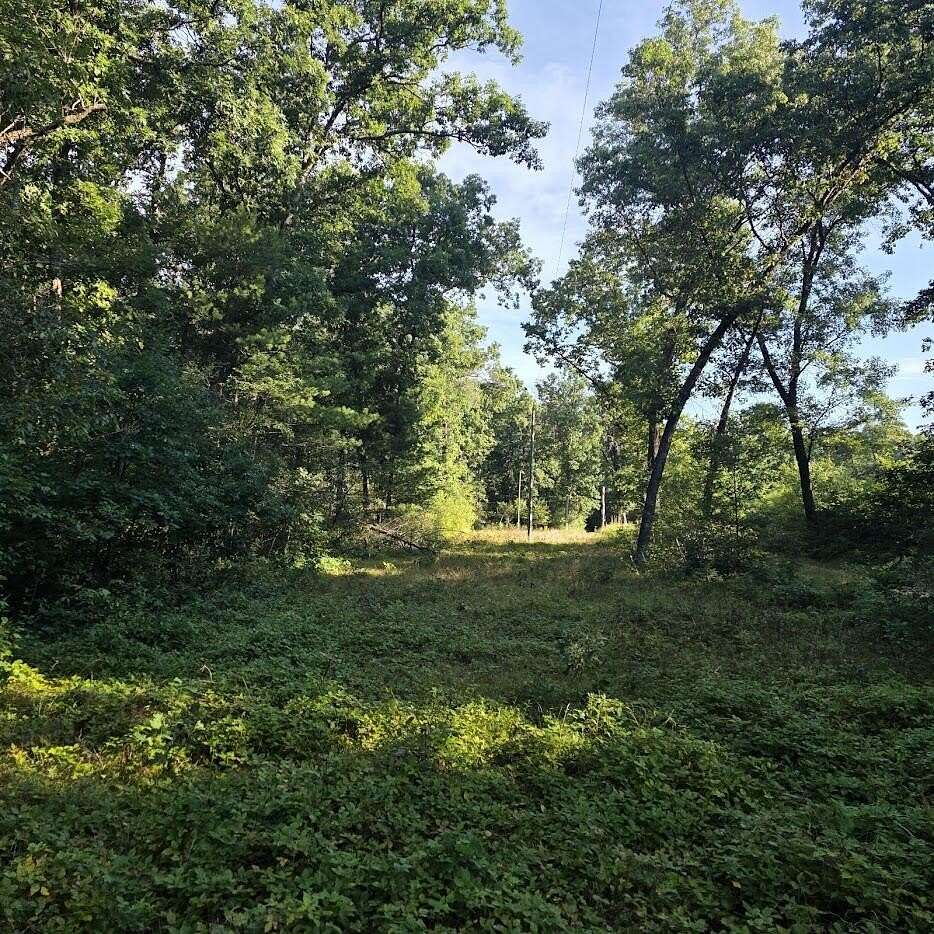 10 Acres of Recreational & Residential Land for Sale in Newaygo, Michigan
