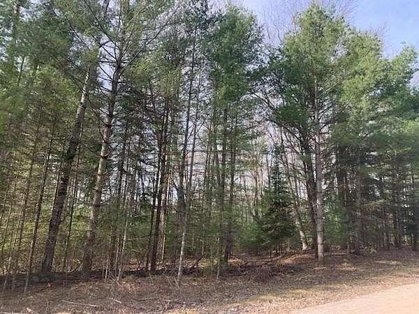 Residential Land for Sale in Lachine, Michigan