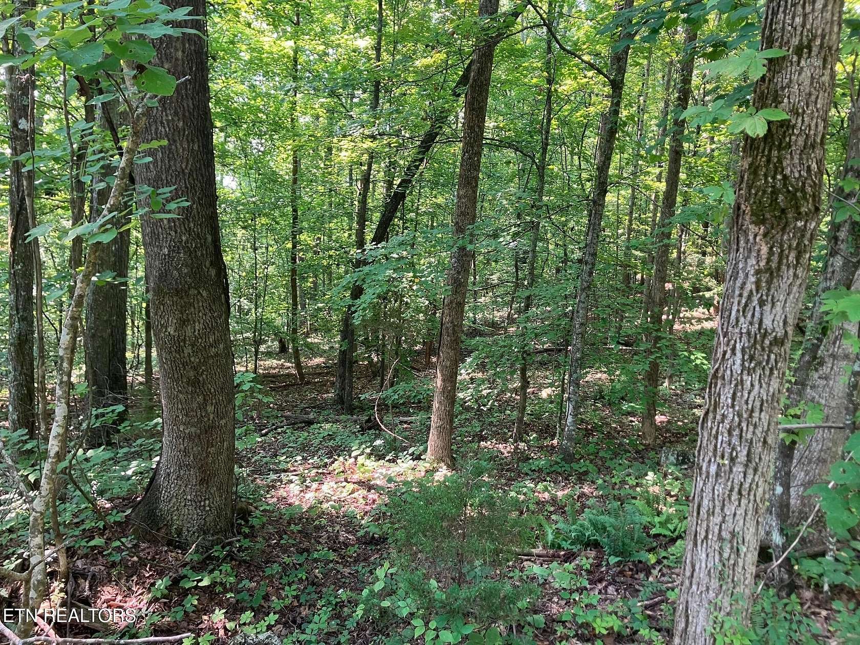 5.1 Acres of Residential Land for Sale in Maynardville, Tennessee