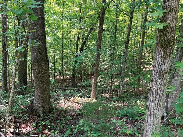 5.1 Acres of Residential Land for Sale in Maynardville, Tennessee
