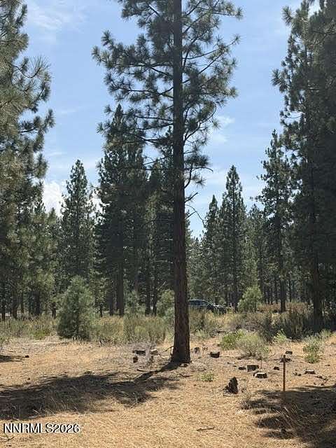 1.23 Acres of Residential Land for Sale in Carson City, Nevada