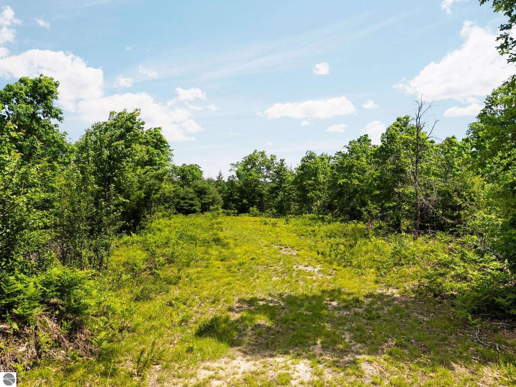 45 Acres of Recreational Land for Sale in Lake City, Michigan