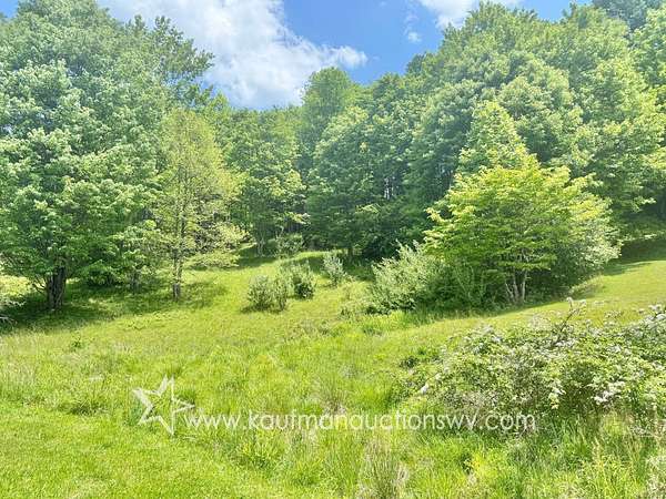 1.19 Acres of Residential Land for Sale in Buckhannon, West Virginia