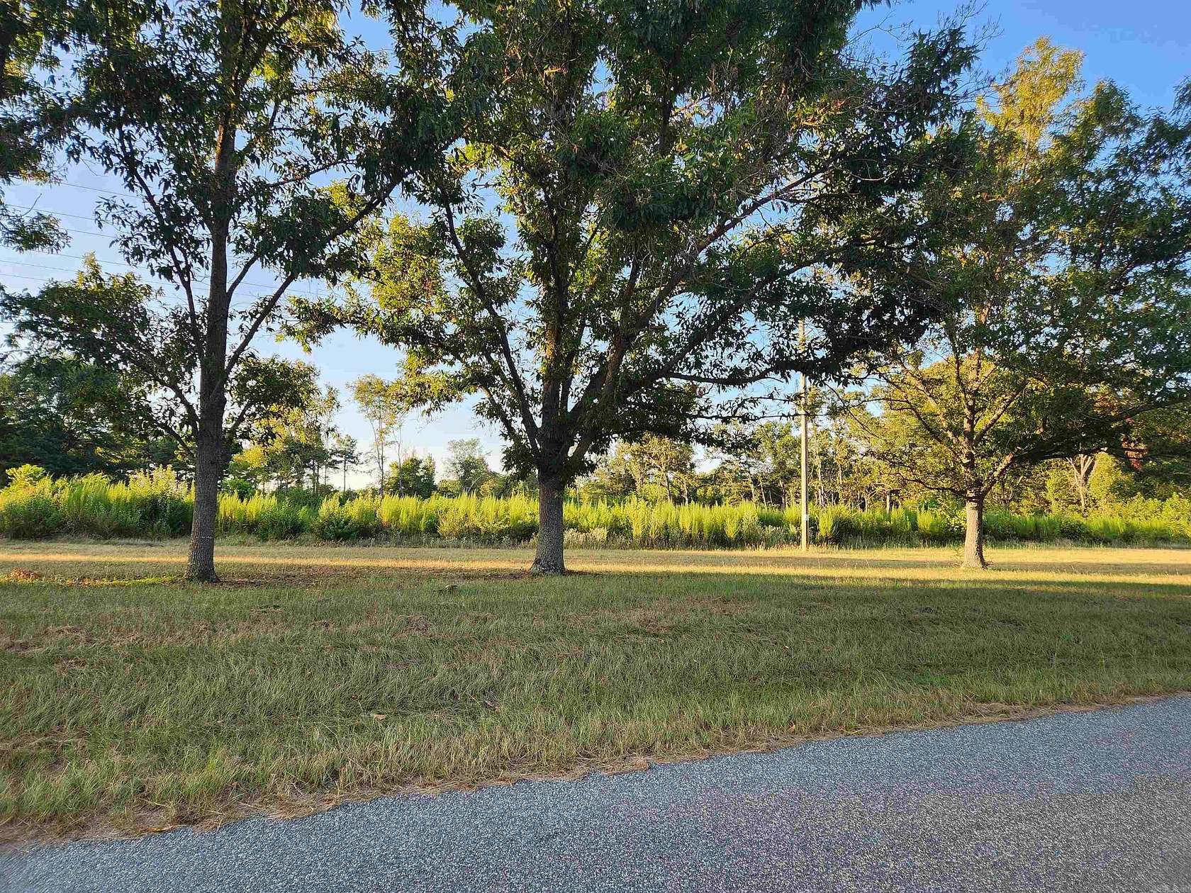 33 Acres of Recreational & Residential Land for Sale in Star City, Arkansas