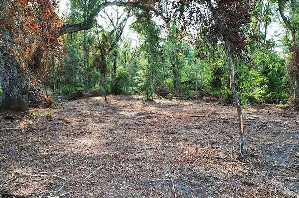 2 Acres of Residential Land for Sale in Old Town, Florida