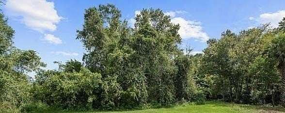 7.3 Acres of Residential Land for Sale in Douglas, Georgia