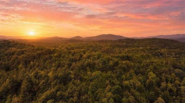 40 Acres of Recreational & Residential Land for Sale in Mineral Bluff, Georgia