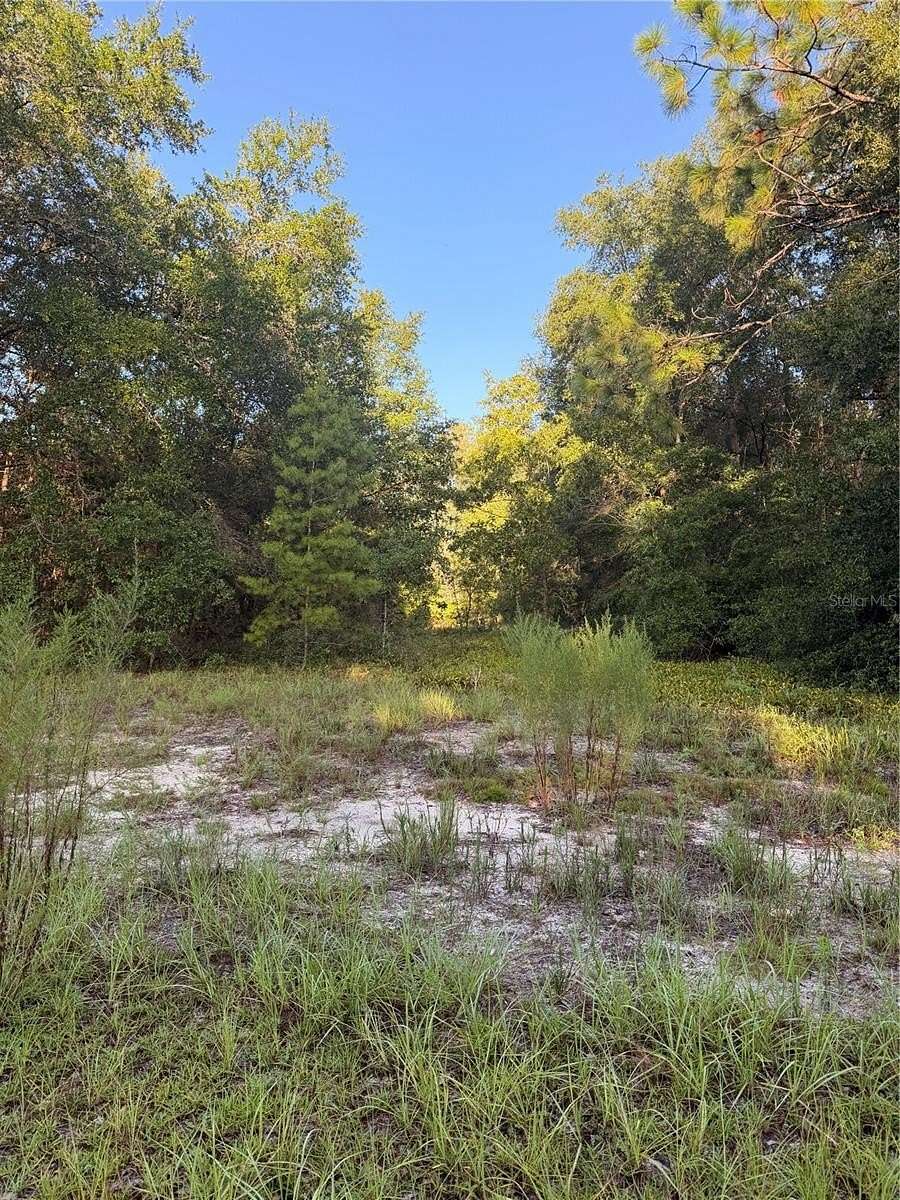 2 Acres of Residential Land for Sale in Melrose, Florida