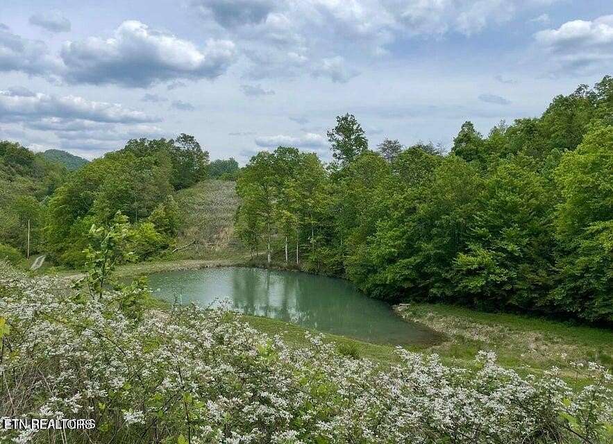 118 Acres of Recreational Land with Home for Sale in Tazewell, Tennessee