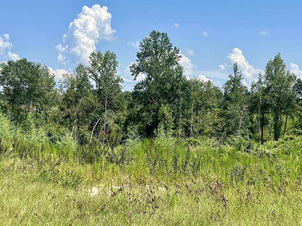 100 Acres of Recreational & Residential Land for Sale in Stringer, Mississippi