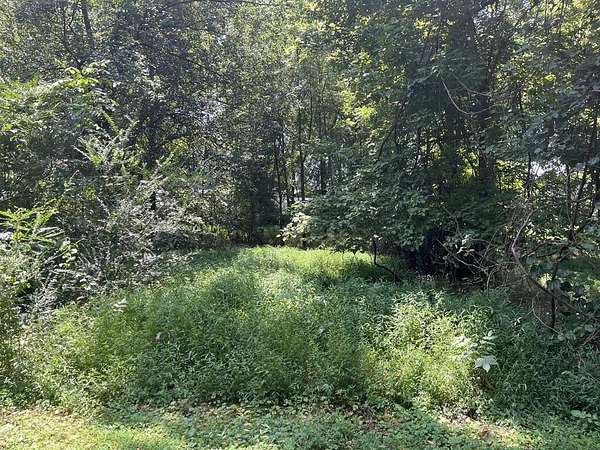 0.6 Acres of Residential Land for Sale in Paris, Tennessee