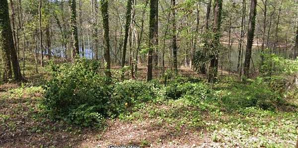 0.22 Acres of Residential Land for Sale in Waverly Hall, Georgia
