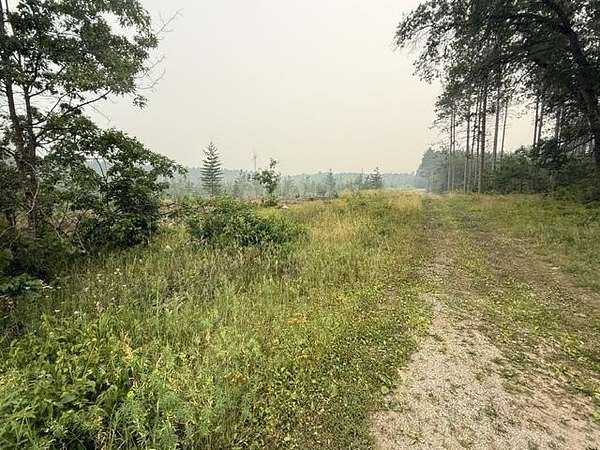 19.3 Acres of Land for Sale in Crivitz, Wisconsin