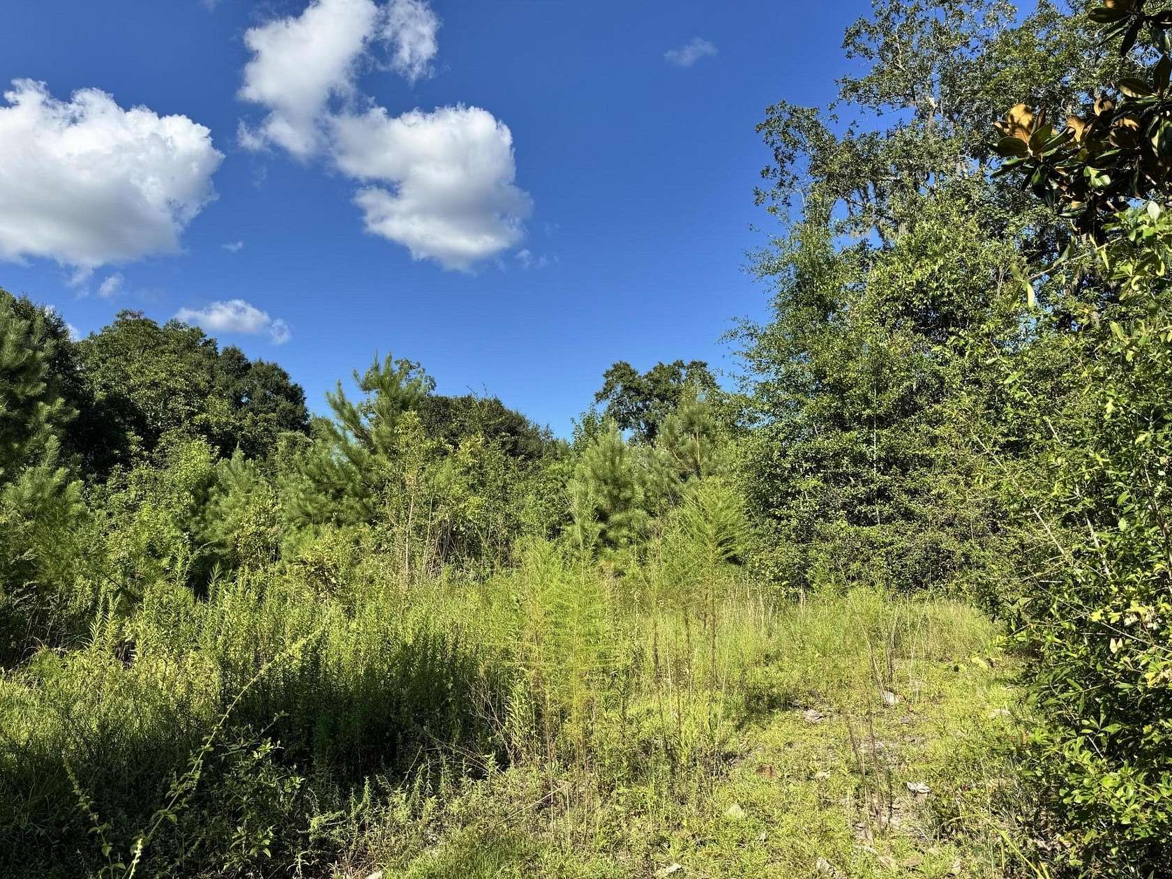 0.65 Acres of Residential Land for Sale in Florala, Alabama