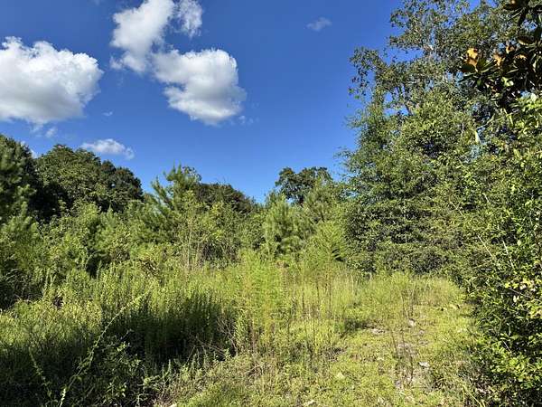 0.65 Acres of Residential Land for Sale in Florala, Alabama