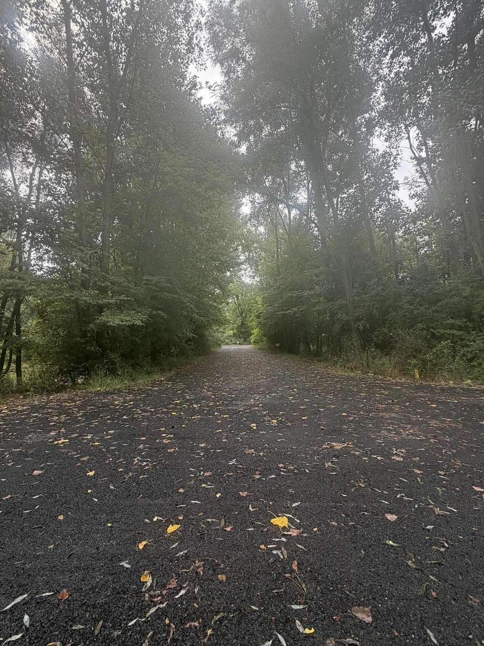 1 Acre of Residential Land for Sale in Marshall, Michigan