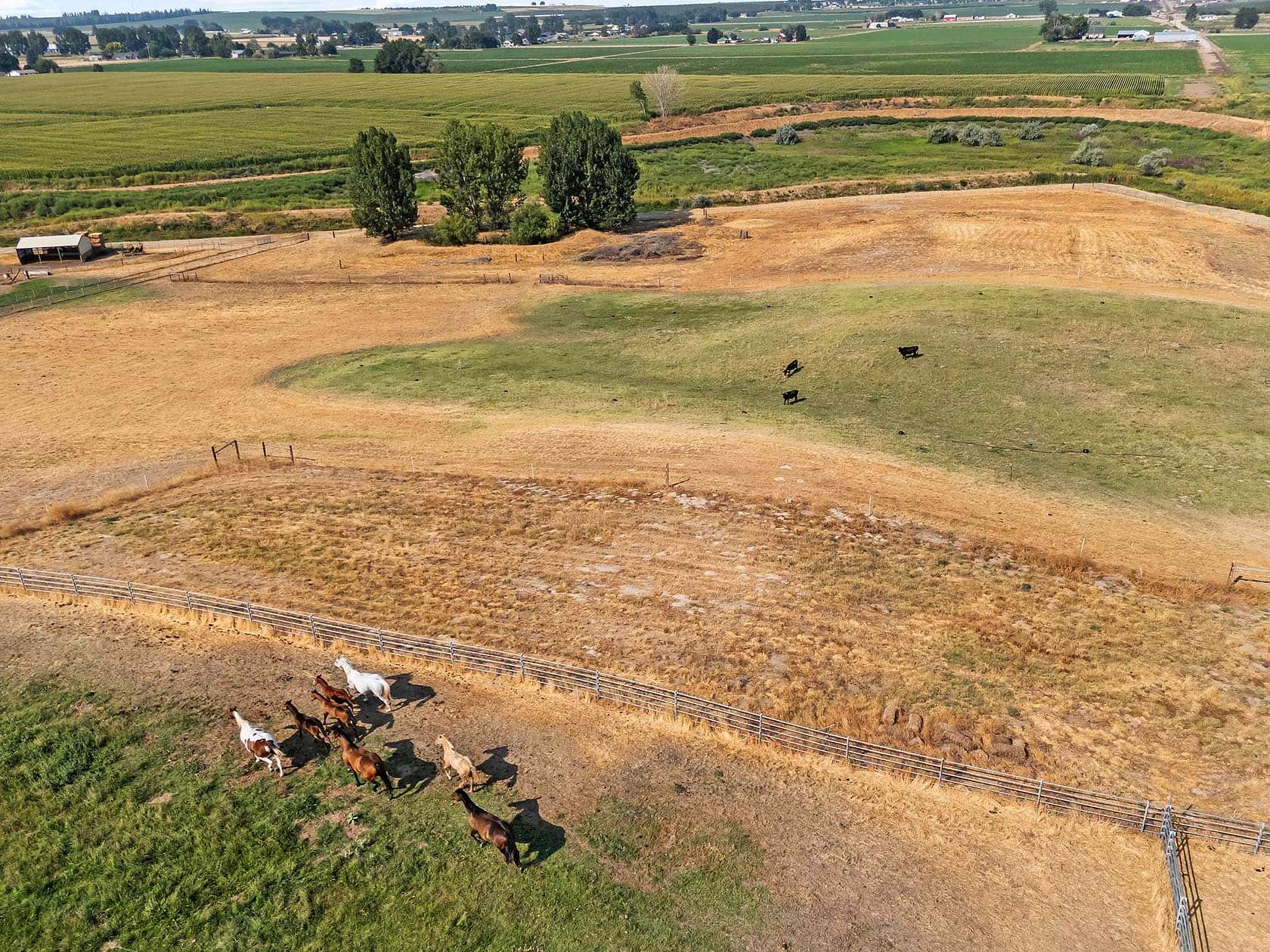 13 Acres of Land for Sale in Caldwell, Idaho