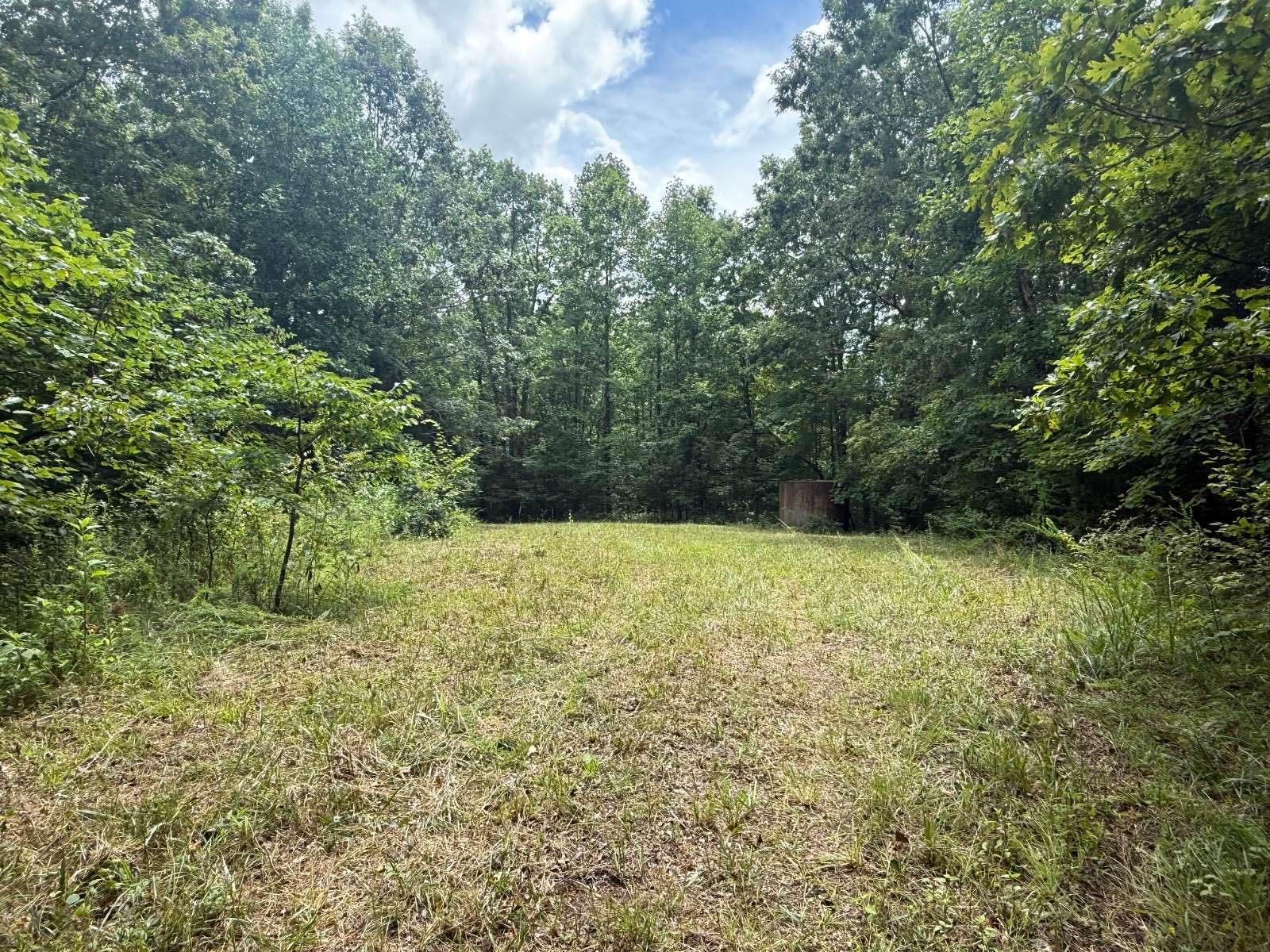 81 Acres of Recreational & Residential Land for Sale in Burkesville, Kentucky