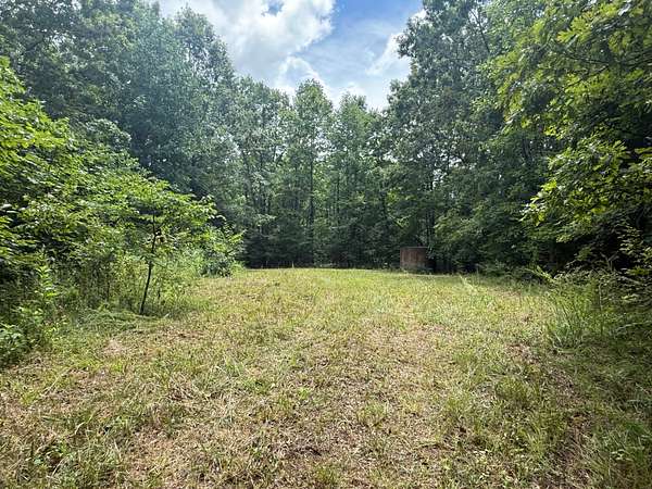 81 Acres of Recreational & Residential Land for Sale in Burkesville, Kentucky