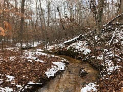 35.6 Acres of Land for Sale in Michie, Tennessee