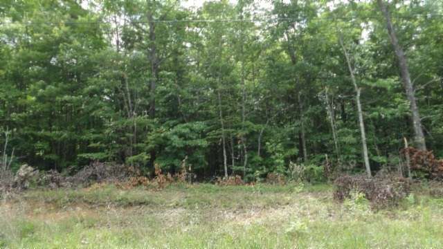 5.3 Acres of Residential Land for Sale in Wilder, Tennessee