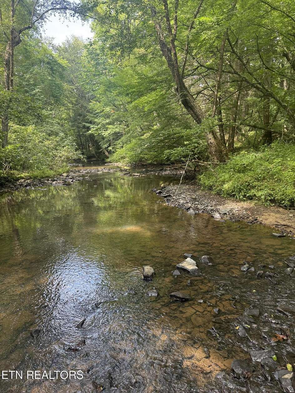 42.8 Acres of Recreational & Residential Land for Sale in Sunbright, Tennessee
