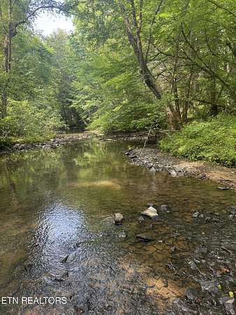 42.8 Acres of Recreational & Residential Land for Sale in Sunbright, Tennessee