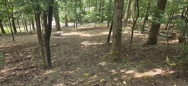 0.5 Acres of Residential Land for Sale in Silver Point, Tennessee