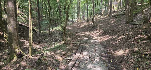 1.75 Acres of Residential Land for Sale in Silver Point, Tennessee
