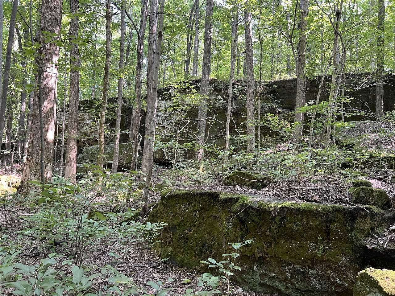 64.2 Acres of Land for Sale in Marion, Kentucky