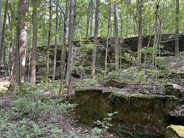 64.2 Acres of Land for Sale in Marion, Kentucky
