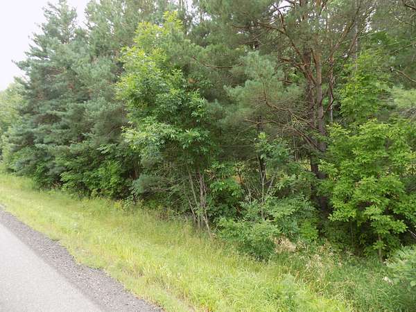10.2 Acres of Land for Sale in Mora, Minnesota