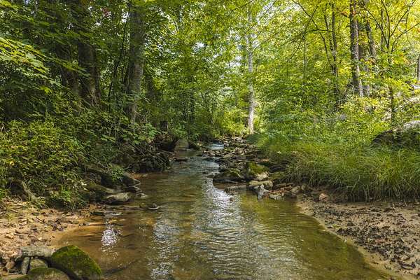 162 Acres of Land for Sale in Sneedville, Tennessee