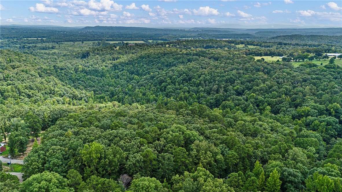 23 Acres of Recreational & Residential Land for Sale in Dover, Arkansas