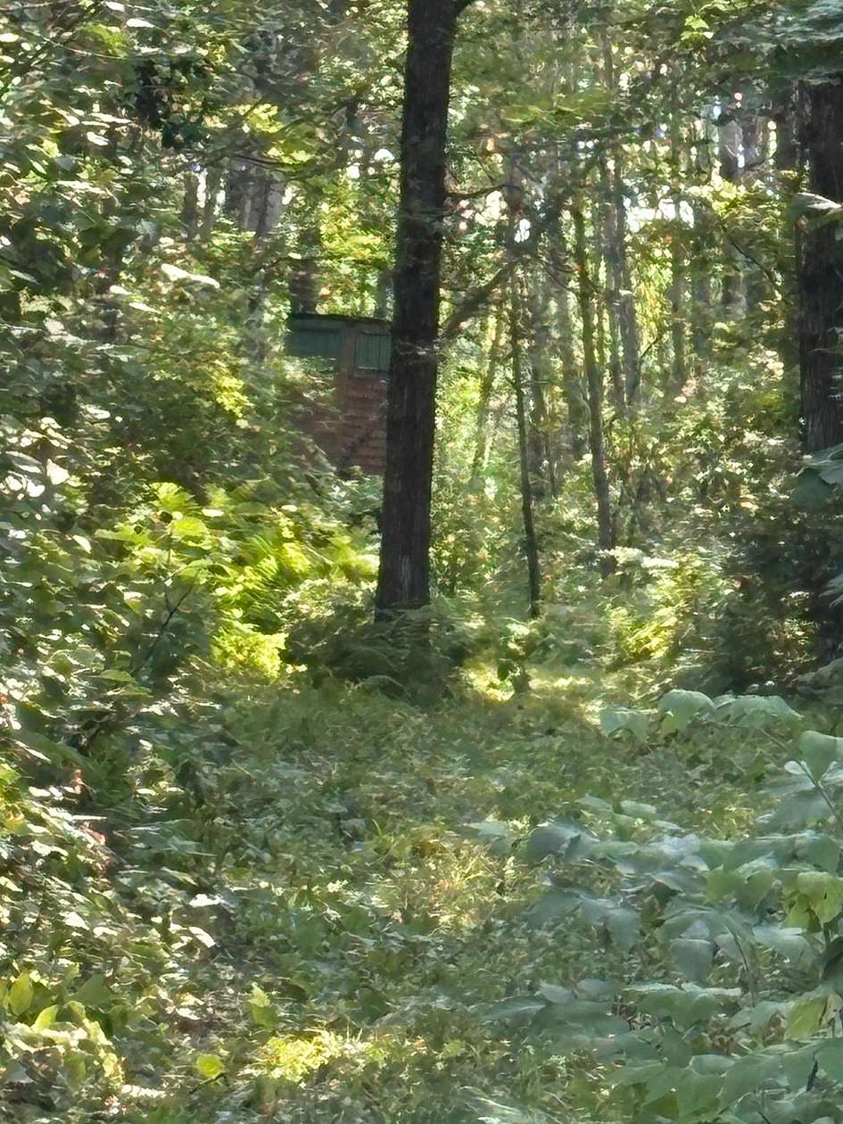 38.7 Acres of Recreational Land for Sale in Swatara, Minnesota
