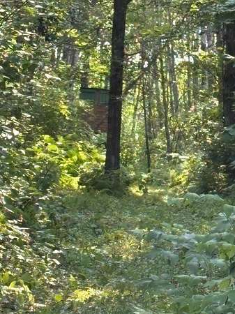 38.7 Acres of Recreational Land for Sale in Swatara, Minnesota