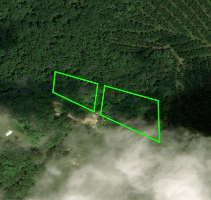 4.12 Acres of Land for Sale in Converse, Louisiana