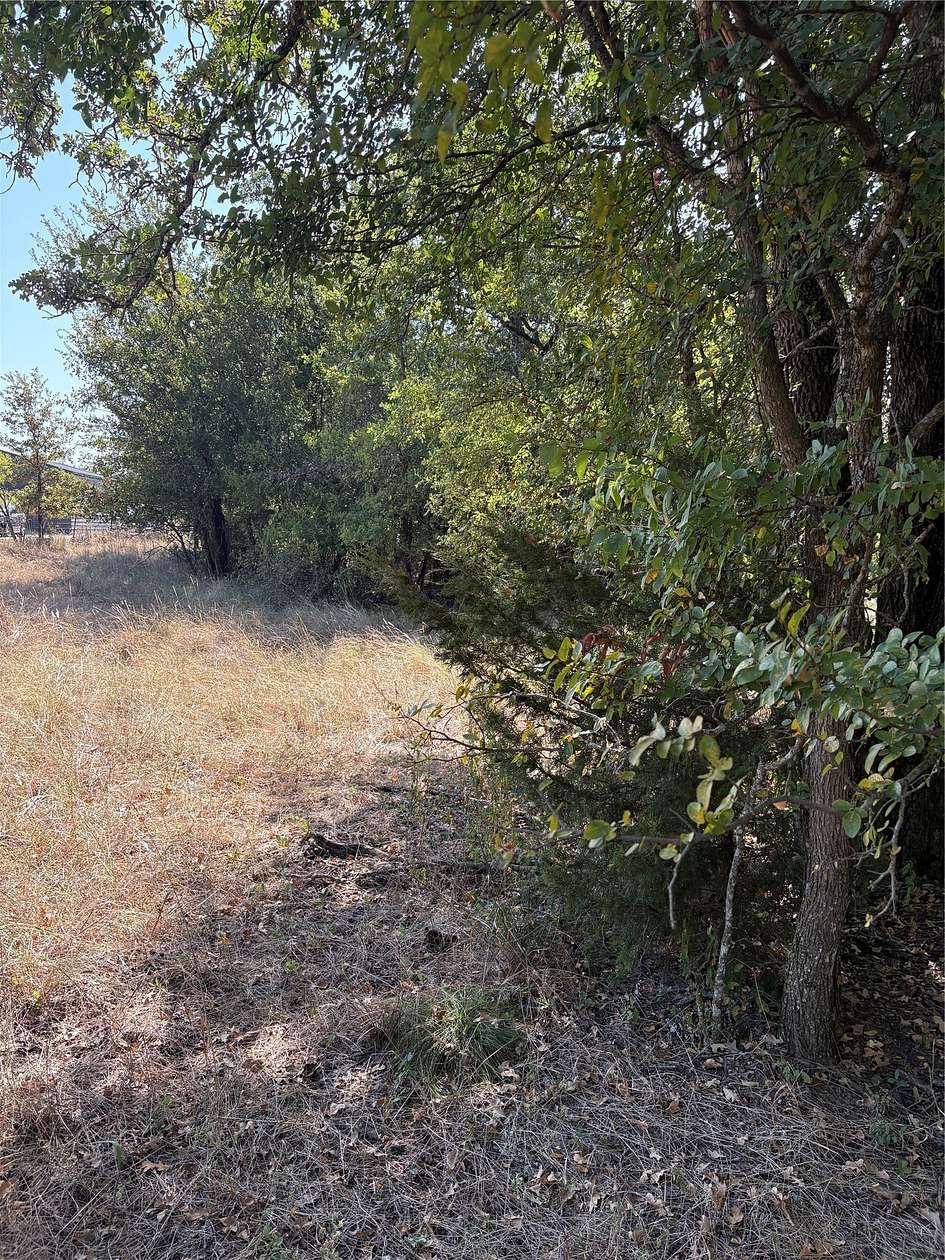 35.6 Acres of Recreational Land for Sale in Weatherford, Texas