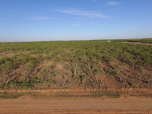 2.5 Acres of Residential Land for Sale in Roby, Texas