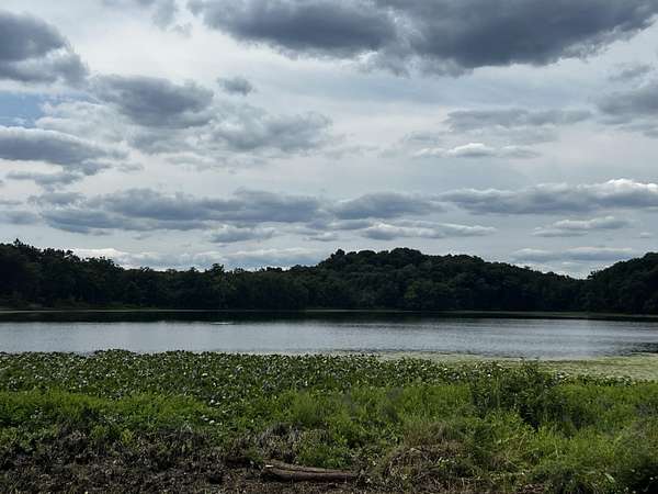 3 Acres of Residential Land for Sale in Bellevue, Michigan