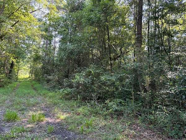 0.69 Acres of Residential Land for Sale in Burgaw, North Carolina