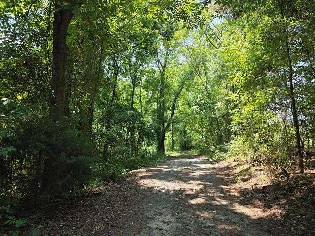 13.4 Acres of Land with Home for Sale in Santee, South Carolina