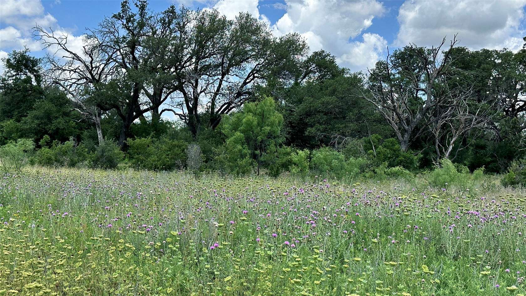 16.4 Acres of Recreational & Residential Land for Sale in Carbon, Texas