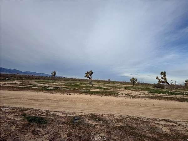 10 Acres of Recreational & Residential Land for Sale in Phelan, California