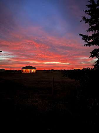 14 Acres of Land with Home for Sale in Celeste, Texas