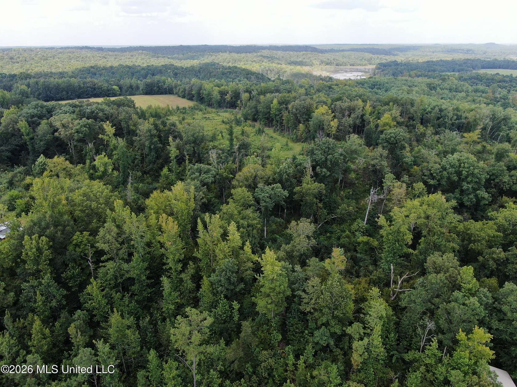 157 Acres of Land for Sale in Tishomingo, Mississippi